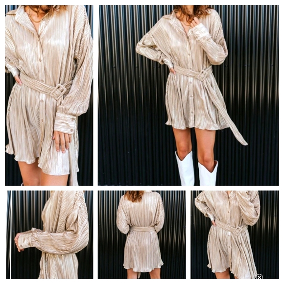 Golden Champagne Shimmery Accordion Pleated Belted Earth Girl "BOHO" Shirt Dress - Picture 12 of 12